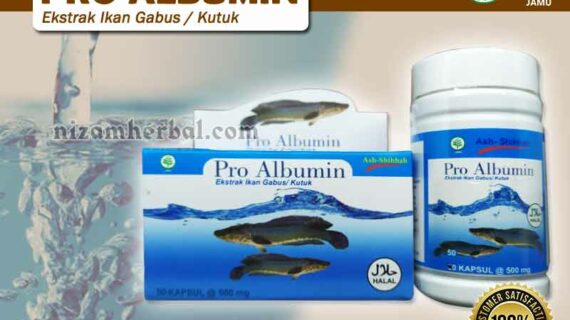 Jual Pro Albumin Untuk Luka Operasi di Kulon Progo