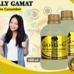 Jual Gold G Bio Sea Cucumber di Halmahera Barat