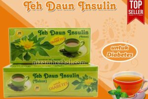 Jual Teh Daun Insulin Untuk Kanker di Aceh Jaya